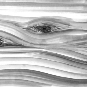 Lines of Silence