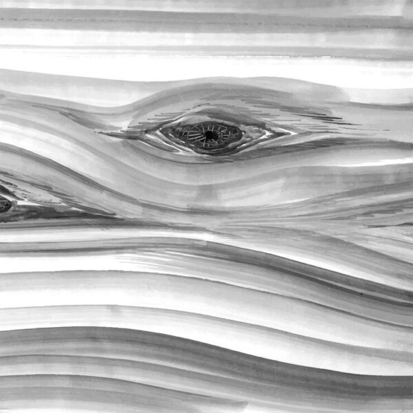 Lines of Silence