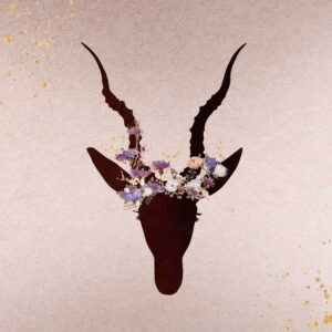 Spirit of the Stag